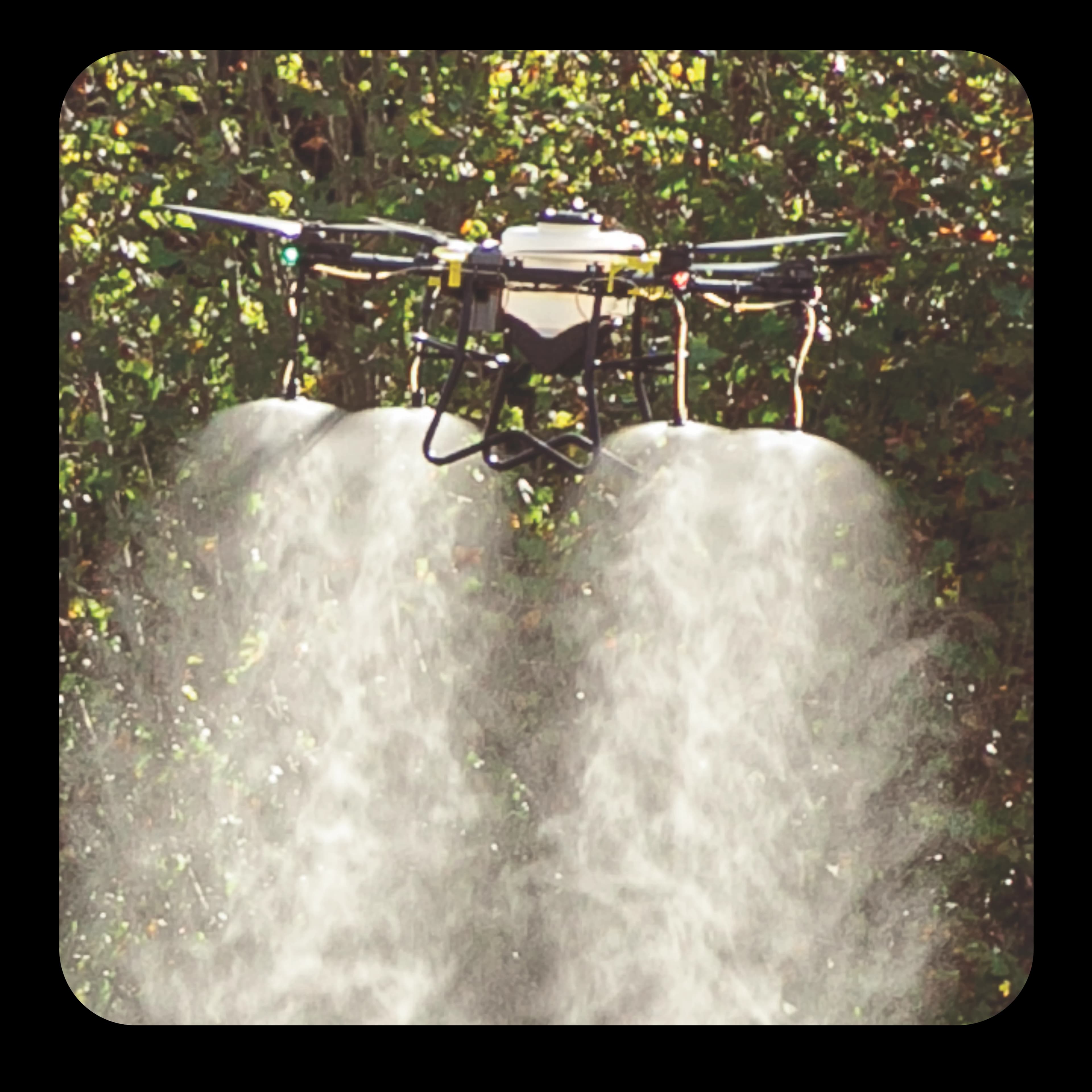 Imagem detalhada do produto 2